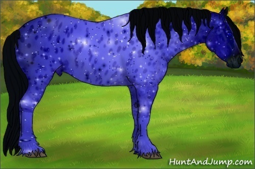 Horse Color:ERROR: UNKNOWN ANOMALY