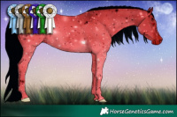 Horse Color:ERROR: UNKNOWN ANOMALY