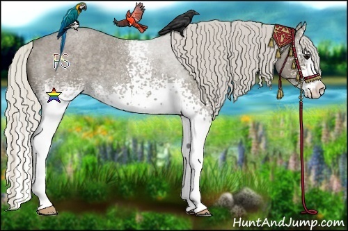 Horse Color:White Spotted Silver Smoky Blue Roan Splash 