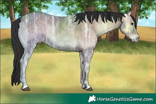 Horse Color:Liver Red Onyx Ice 