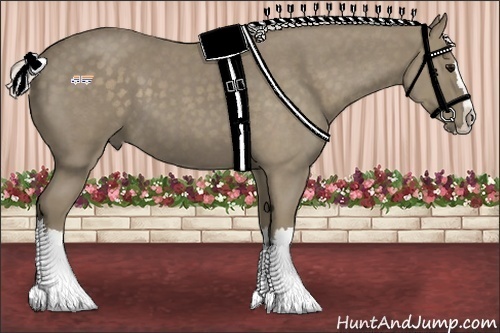 Horse Color:Silver Smoky Blue Roan Splash 