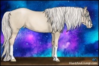 Horse Color:Silver Smoky Blue Roan Pearl Splash 