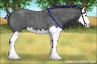 Horse Color:Blue Roan Splash 