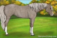Horse Color:Silver Smoky Blue Roan Splash 