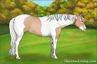Horse Color:Silver Bay Pearl Splash Tobiano Frame 