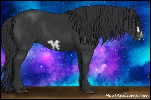 Horse Color:Black Frame 