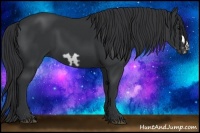Horse Color:Black Frame 