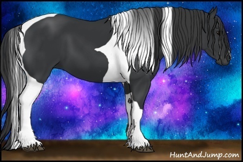 Horse Color:Black Tobiano 