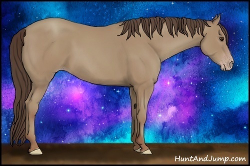 Horse Color:Classic Champagne 