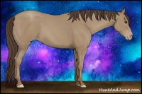 Horse Color:Classic Champagne 