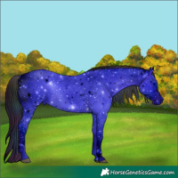 Horse Color:ERROR: UNKNOWN ANOMALY