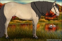 Horse Color:Amber Cream Champagne 