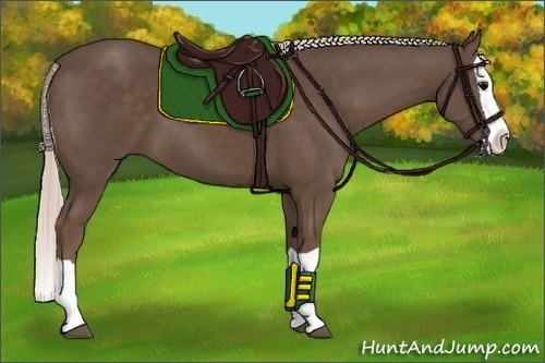 Horse Color:Silver Black Splash 