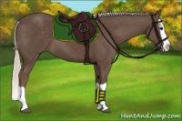Horse Color:Silver Black Splash