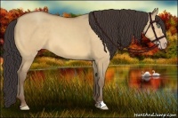 Horse Color:Amber Champagne Dun 