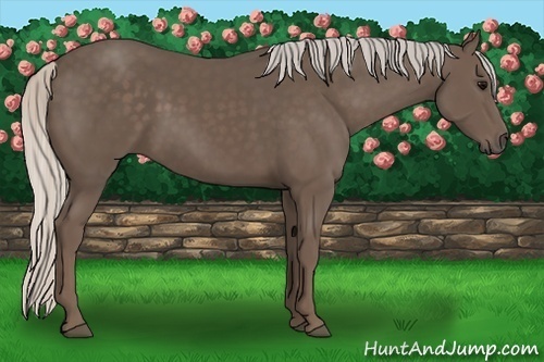 Horse Color:Silver Black 