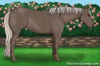 Horse Color:Silver Black 