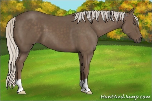 Horse Color:Silver Black