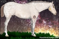Horse Color:Amber Champagne Ice Sabino Appaloosa