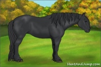 Horse Color:Black Frame