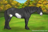 Horse Color:Smoky Black Frame 