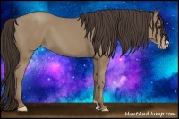 Horse Color:Classic Champagne Frame 