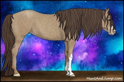 Horse Color:Classic Champagne 