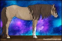 Horse Color:Classic Champagne 