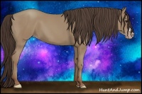 Horse Color:Classic Champagne 