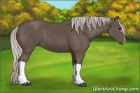 Horse Color:Silver Black 