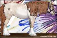 Horse Color:Buckskin Ice Roan Pearl 