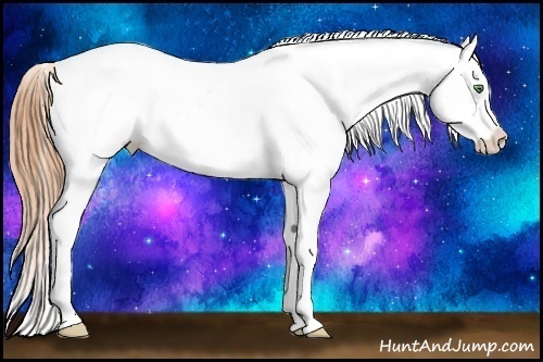 Horse Color:Classic Champagne Ice Pearl Tobiano Blanket Rabicano