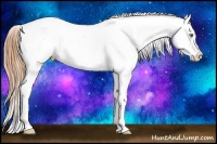 Horse Color:Classic Champagne Ice Pearl Tobiano Appaloosa Rabicano