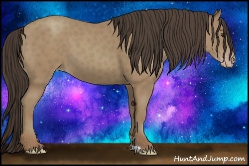 Horse Color:Classic Champagne 