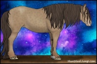 Horse Color:Classic Champagne 