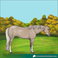 Horse Color:Silver Grullo Sabino