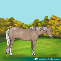 Horse Color:Silver Grullo Sabino 