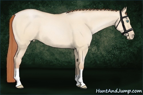 Horse Color:Buckskin Pearl Dun 