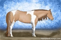 Horse Color:Bay Pearl Sabino Tobiano Rabicano