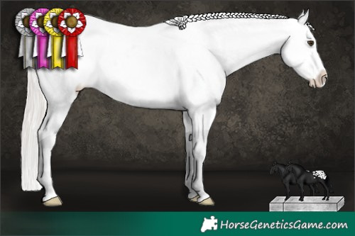Horse Color:Silver Brown Dun Sabino Appaloosa 