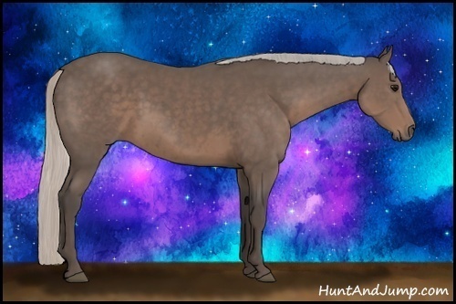 Horse Color:Silver Black Sabino 