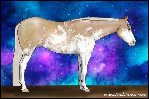 Horse Color:Silver Black Pearl Sabino