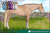 Horse Color:Chestnut Pearl 