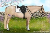 Horse Color:Chestnut Pearl