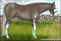 Horse Color:Silver Black Sabino 