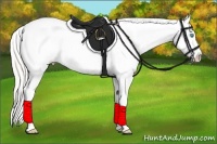 Horse Color:White Spotted Cremello Frame Appaloosa