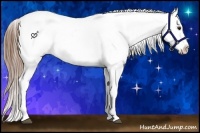Horse Color:Buckskin Dun Appaloosa 