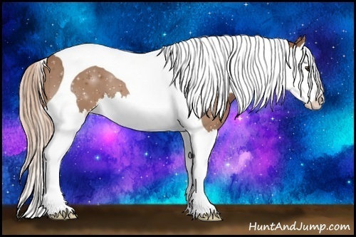 Horse Color:Chestnut Splash Tobiano