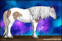 Horse Color:Chestnut Splash Tobiano