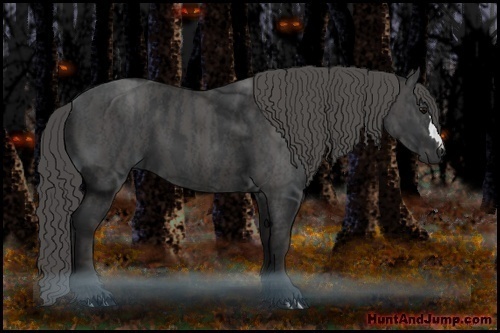 Horse Color:Black  Brindle